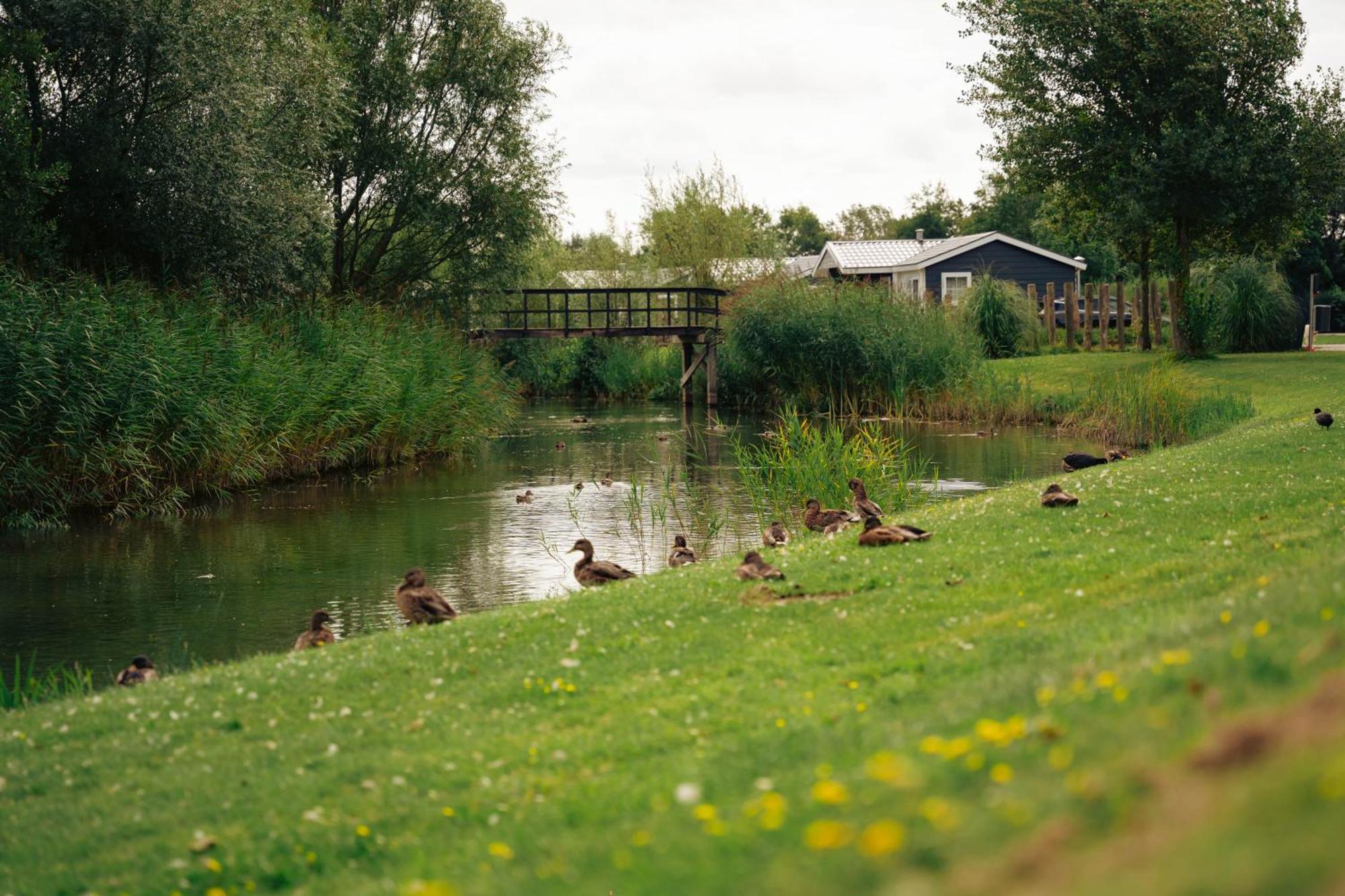 Resort Land & Zee Scharendijke Exterior photo